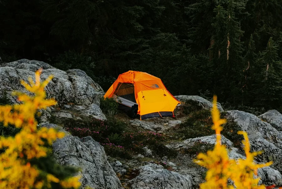 Luke miller 9sl4ucu2i30 unsplash2