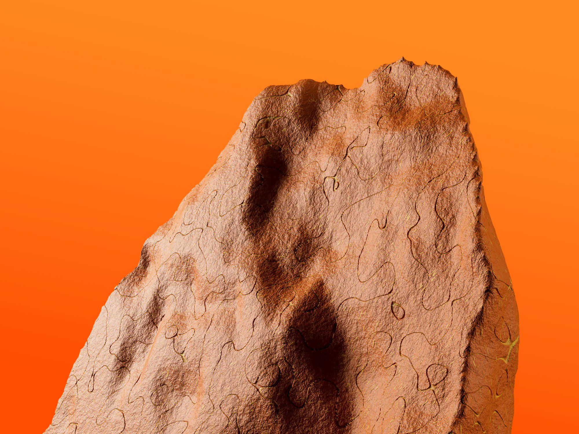 Yordan stoyanov iky3rqo3sbx4 unsplash (1)